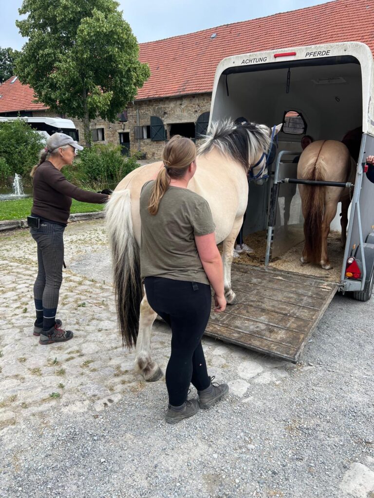 Unsere Pferde machen Urlaub